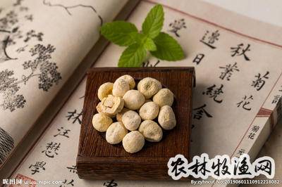 半夏厚朴丸,中医方剂名.为行气剂,具备理气消结,降逆止咳化痰之作用.