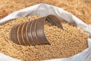 2022年豆粕价格多少钱一吨？