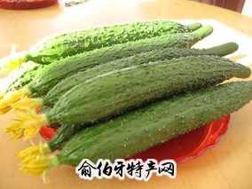 胡家湾黄瓜