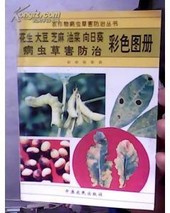 芝麻病虫草害防治