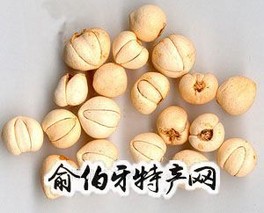 铁力平贝母