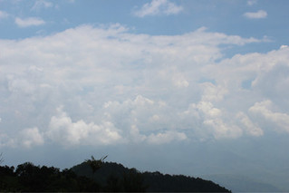 螺髻山黑猪