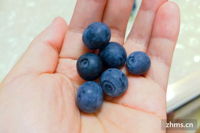 蓝莓能冷冻保存吗？