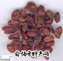 石台山茱萸