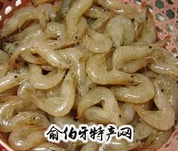 巢湖白虾