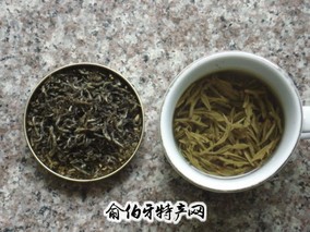 松溪绿茶