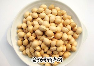 随州古银杏