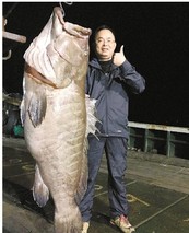 浙江石门：石斑鱼丰收了
