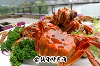 唐海河蟹