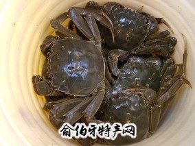 秋水湖河蟹