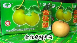 山妹子金秋梨