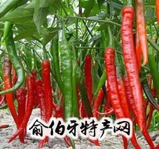 西充二荆条辣椒