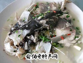 沙湖大鱼头