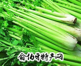 天津实心芹菜