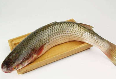 梭鱼价格多少钱一斤？梭鱼是海鱼吗？