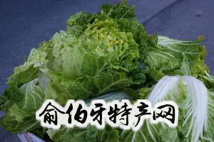 东北大白菜