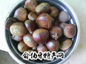 小悟板栗