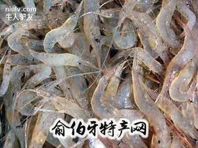 兴凯湖秀丽白虾