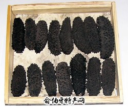 黑刺参