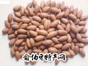 蜂儿香榧