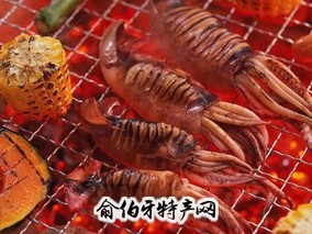 烤肉串(鱿鱼)