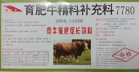 杂交牛的饲养和育肥技术要点(育肥牛饲料配方表)