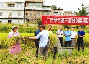 让高产高效谷子走出国门