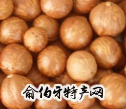 合山澳洲坚果