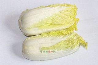白蒲黄芽菜