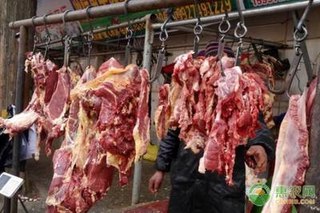 现在羊肉市场价格多少钱一斤？