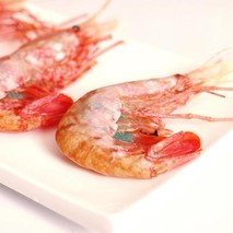 2022牡丹虾价格多少钱一斤？产地分布在哪？