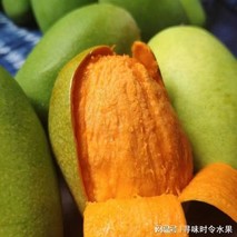 芒果几月份成熟？