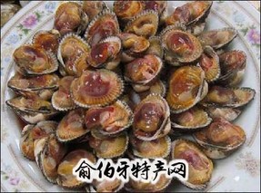 黄骅毛蚶