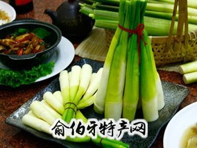 修仁横水茭白