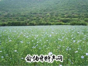 后山胡麻油