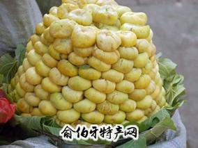 喀什无花果