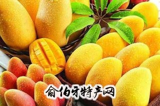 白沙芒果