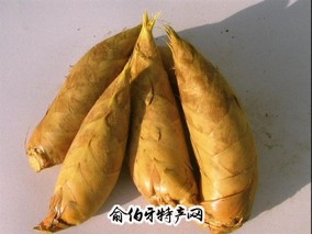 永安玉笋