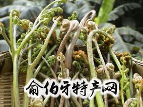 双鸭山蕨菜