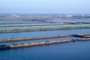 专家提醒：搞定水产养殖自身污染 才能提高效益！