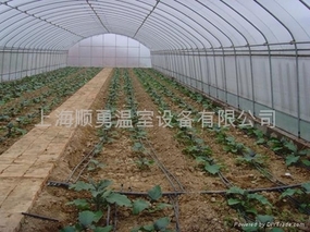 蔬菜大棚如何合理灌溉的步骤