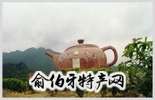 西岩茶