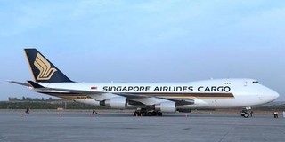 宁夏引进3000余只新西兰种羊