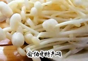 毛柄金钱菌