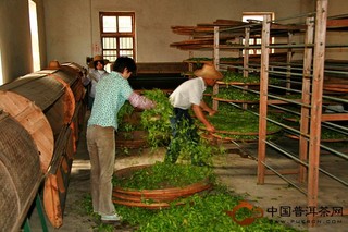 霍山黄芽的制作步骤