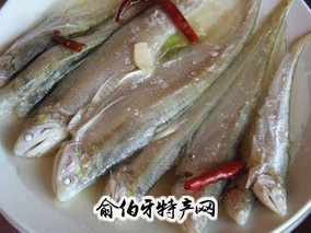 乌头鱼与鲚鱼