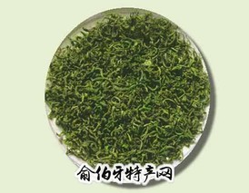 崂山绿茶