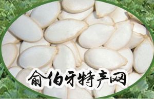 南瓜子