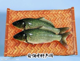 鄂尔多斯黄河鲤鱼