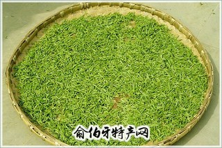 虞山绿茶